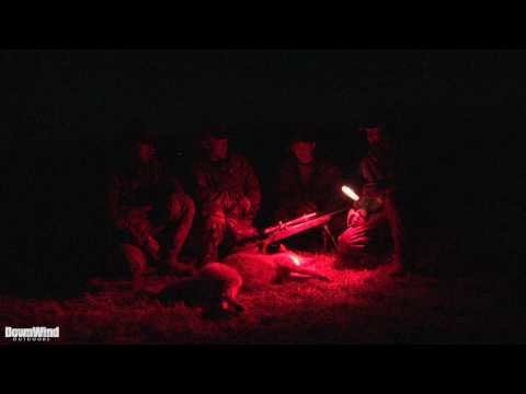 Eastern Coyote Hunting: First Night Camera Dog (Do...