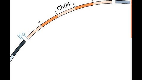 Circos basic configuration 02 -  bands & ticks