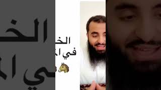 الخيل في المنام المفسر محمد عجب