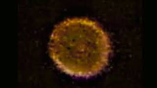 ORBs collection with faces