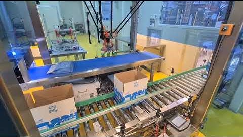 S172306 - HNPack KTP-1 Robotic Case Carton Packer