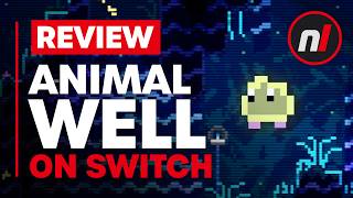 Animal Well Nintendo Switch Review  Is It Worth It?