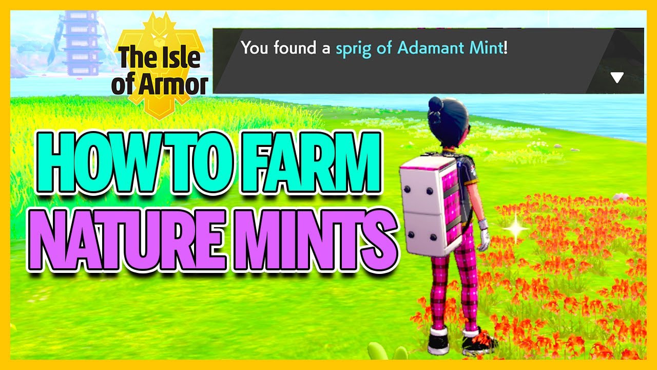 How To FARM Nature Mints in Pokemon Sword and Shield Isle of Armor DLC