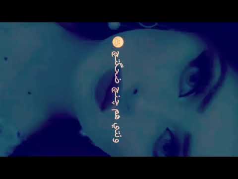 اغنيه حيل حلوه تيسير السفير