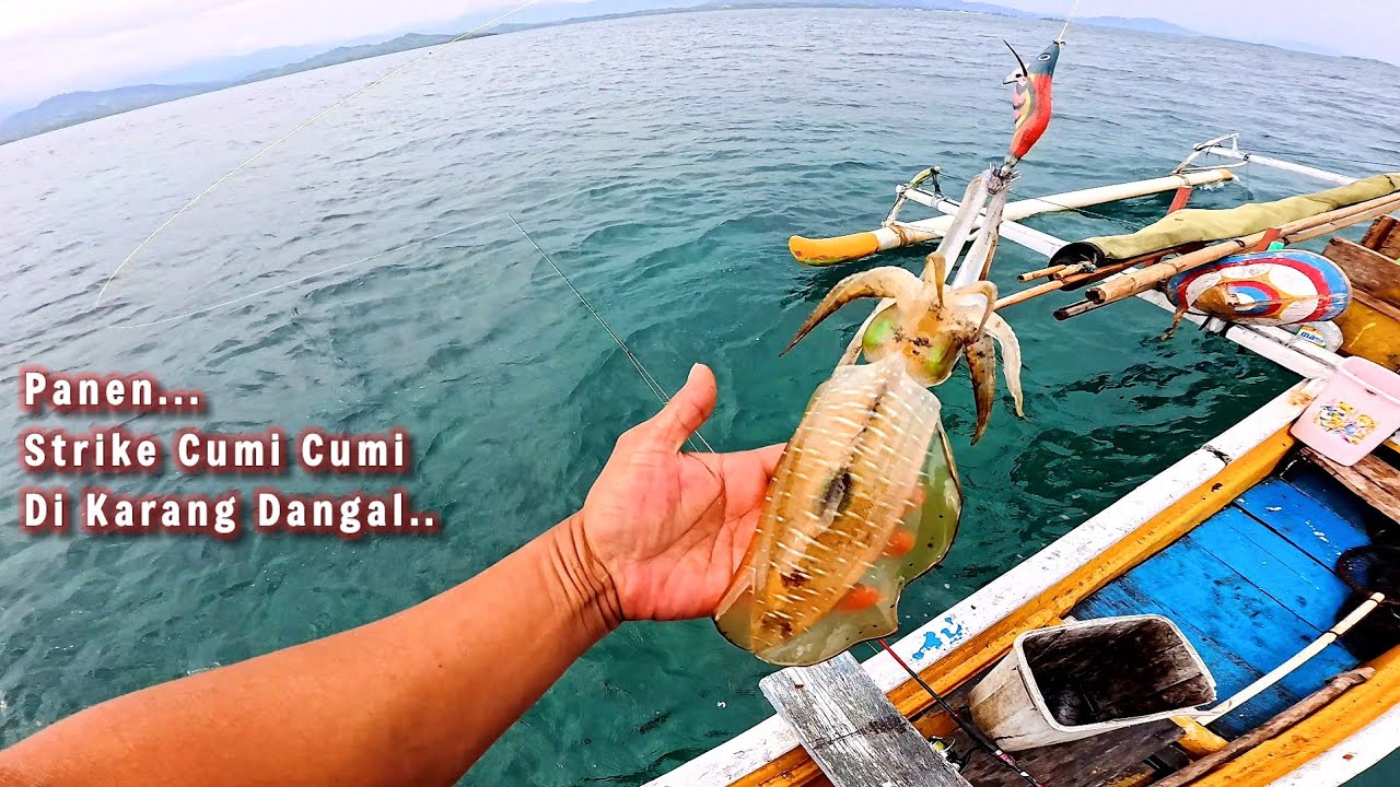 PANEN STRIKE...!!! Ternyata spot ini cuminya melimpah || Mancing cumi di karang dangkal sore hari 