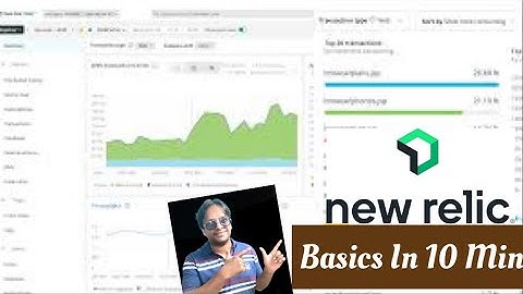 What is New Reli? New Relic Basics