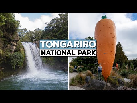 Video: Tongariro National Park: de complete gids