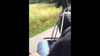 20150717 7 Ullie dag 5
