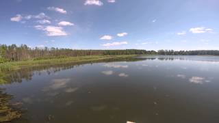 купание в лесном озере