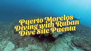 Puerto Morelos 8 04 26 Pargos 1