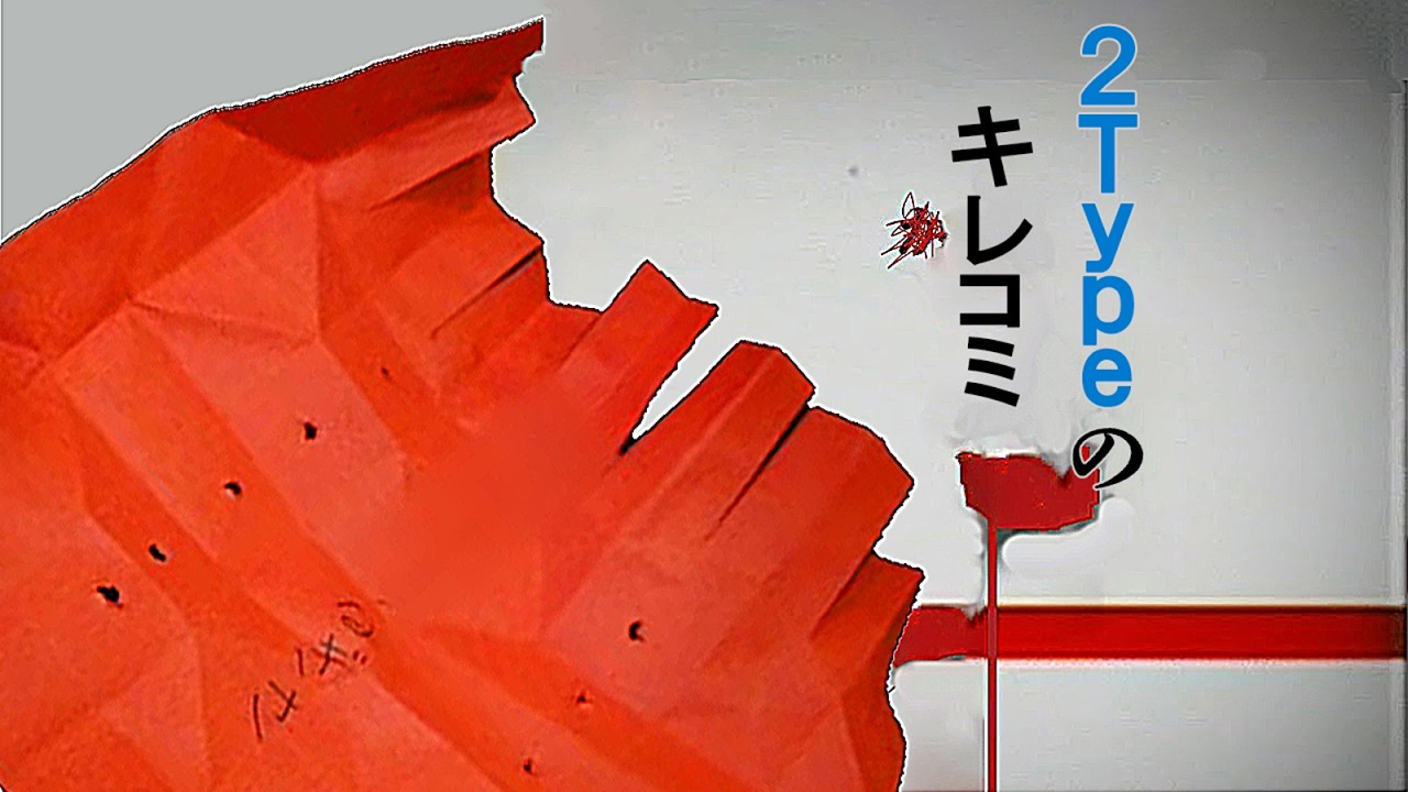 最新#心霊番組「視聴者から投稿された不可解なカミに母霊の影を追う」631