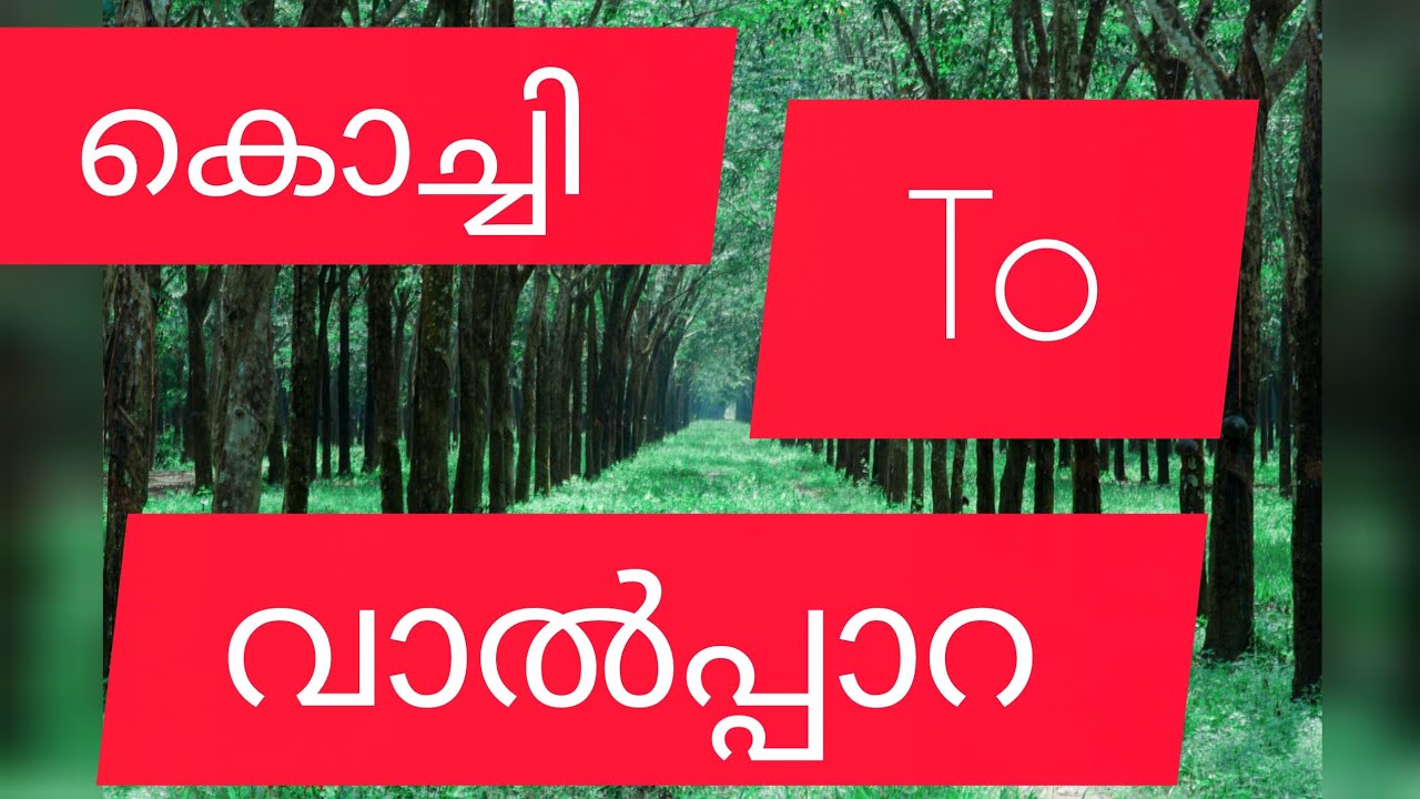 കൊച്ചി to വാൽപ്പാറ യാത്രയിലെ കാഴ്ചകൾ 🥰