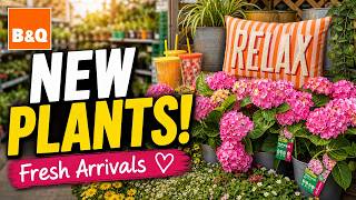 B&Q Garden Centre - HUGE Fresh New Plant Deliveries!