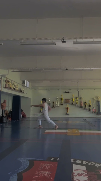 kata 2 karate/heian nidan/story' karate kata/story' wa dan lagu lirik