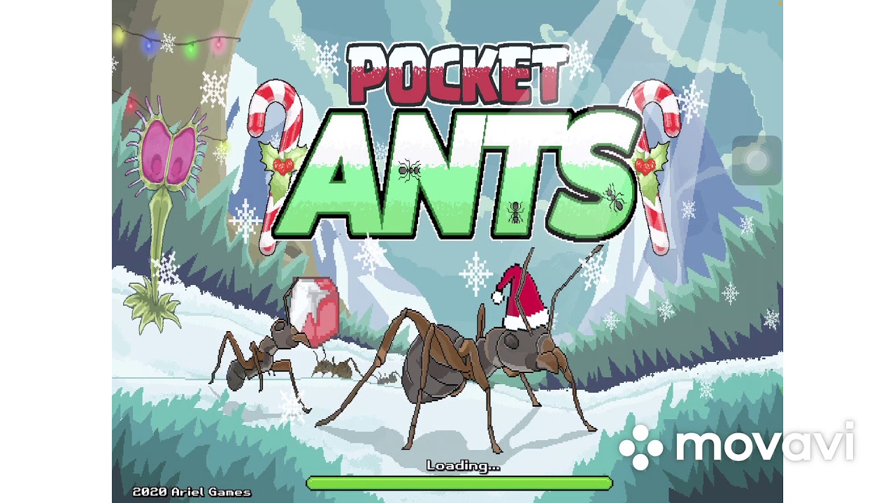 Ants 6. Скены на летней ивент Pocket Ants. Скины  на летней ивент покет Антс.