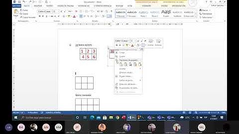 LENGUAJE C: MATRICES [X][Y], VECTORES Y FILAS (PARTE 1)