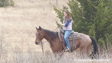 Jolena Little - trail riding - Valley View Ranch