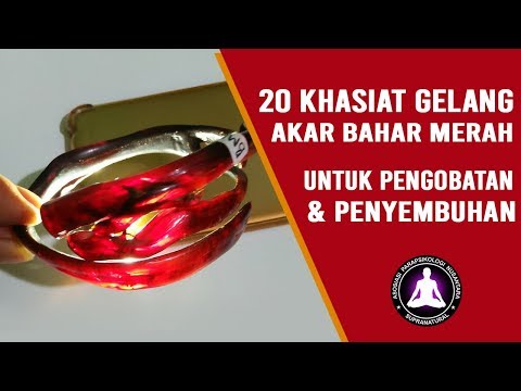 Tips membedakan akar bahar merah dan hitam yang asli.. 