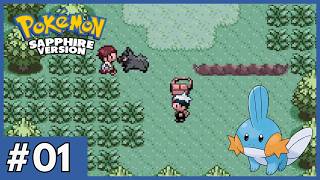 Pokémon Saphir Part 1 Der Umzug nach Wurzelheim (German)