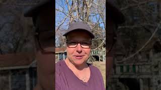 Target Corn Hole Board Throwing