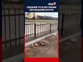 Drone Strike Hits Apartment Block Near Kyiv Amid Escalation in Russia-Ukraine War | N18S