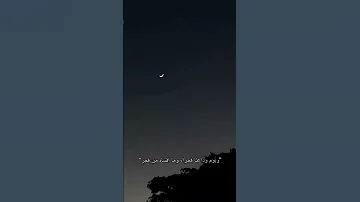 ويوم وداعنا فجرا 