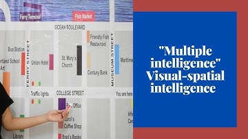 "Multiple Intelligence" Visual - Spatial Intelligence
