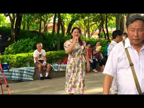 2018年8月2日 屯门公园表演  旺角菜街艺人singing