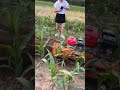 Self Propelled Four Wheel Drive Grass Shredder Rotary Tillage Weeding And Ditching One Machine Self Propelled Four Wheel Drive Grass Shredder Rotary Tillage Weeding And Ditching One Machine