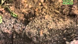 Уроки Православия. Поучения аввы Дорофея. Урок 5. 22 декабря 2014 Уроки Православия. Поучения аввы Дорофея. Урок 5. 22 декабря 2014