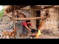 survival in the rainforest - woman cook egg in pumpkin for dog & woman - Eating delicious HD