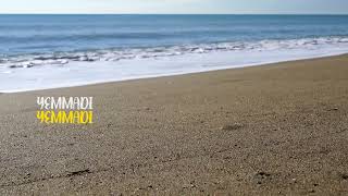 Beer Song (Disel Movie) Editing