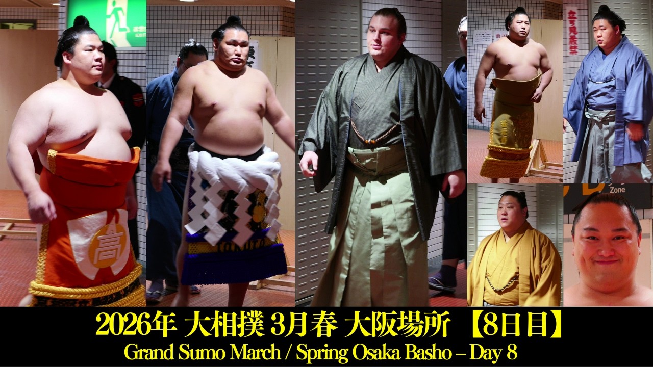 館内でお相撲さんを入り待ち❗【大相撲 3月春場所 大阪 8日目】 Grand
