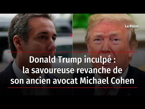 Vidéo: Qu'est-ce que l'ancien avocat de Trump, Michael Cohen, a avoué ?