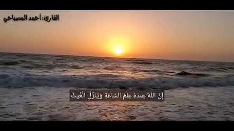 تلاوة من أواخر سورة لقمان . القارى/ أحمد المصباحي.