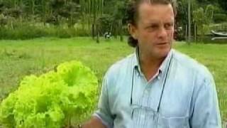 Agricultura Orgânica de Alto Valor Nutritivo