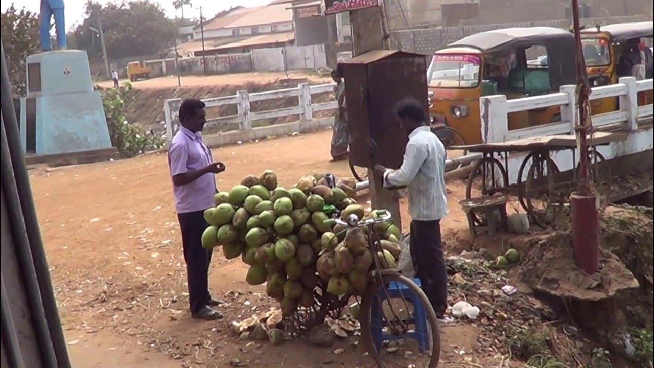 ManikondaGudivada Road from Kankipadua along with CanalKrishna