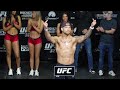 UFC 327: Prochazka vs. Ulberg ceremonial weigh-ins and faceoffs