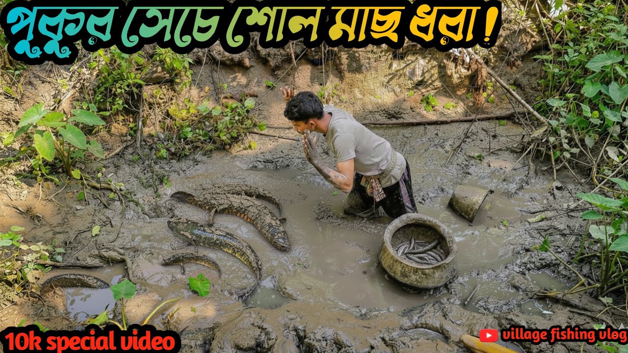 পুকুর সেচে বিশাল বিশাল শোল মাছ ধরা! 🤯 এতো মাছ ? অবিশ্বাস্য শোল মাছের মেলা ! 10k special video. 