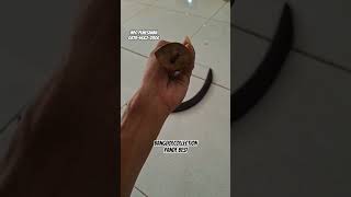 Bulu ayam#subscribe #shorts #fyp #celuritmadura #ai #kerajinan #seni #madura