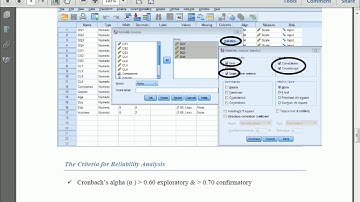 How to Get the Results of Factor Analysis and Reliability Test