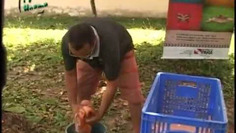 Como guardar caranguejo pronto?