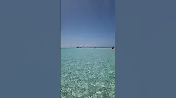 Mama Africa Tanzania Zanzibar Ocean Water Africa 