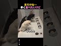 まだかな…早く食べたいけど