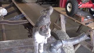 36 Truck Fuel Tank Restoration Finished & Parker Leaf Blower