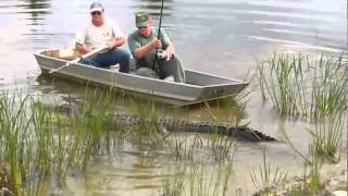 Gator Getter 2