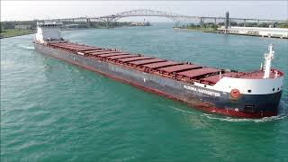 ALGOMA HARVESTER - Downbound Port Huron, Michigan 5-31-2019