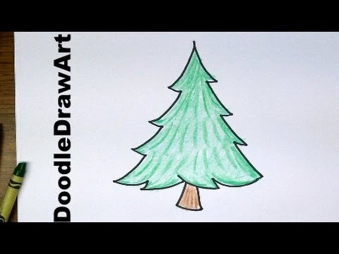 Pine Tree Drawing PNG Transparent Images Free Download | Vector Files |  Pngtree