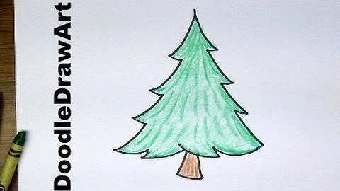 Drawing: How To Draw Cartoon Pine Trees - Easy to Draw for Beginners and for kids!