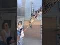 Winner gets a YES DAY at the San Diego Zoo